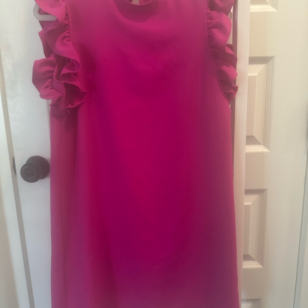 TCEC Pink Ruffle Sleeve Dress
